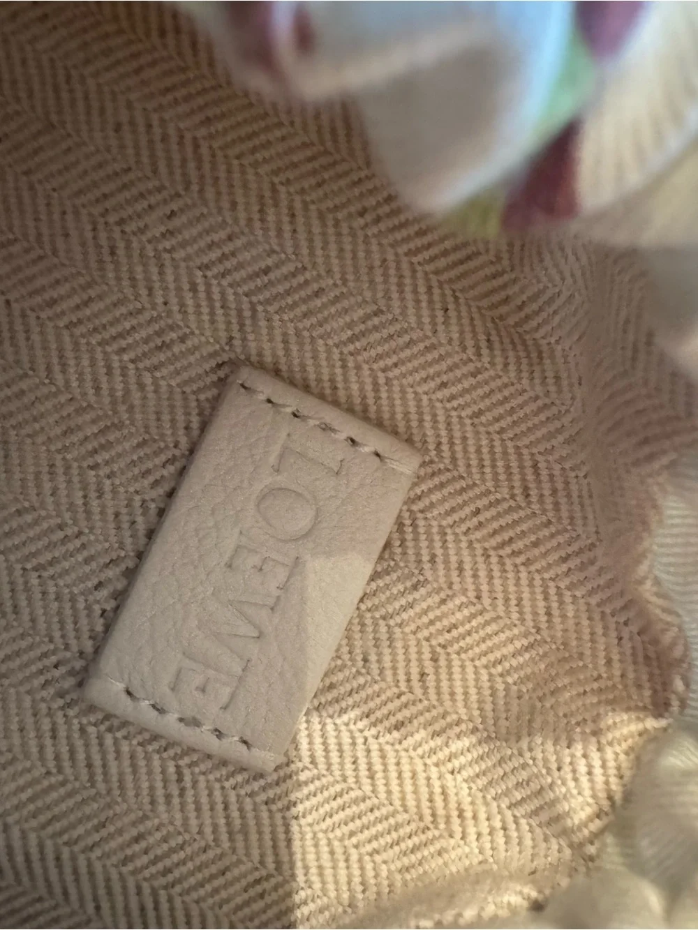 Loewe X Paula’s Ibiza Canvas Artichoke Print Pouch